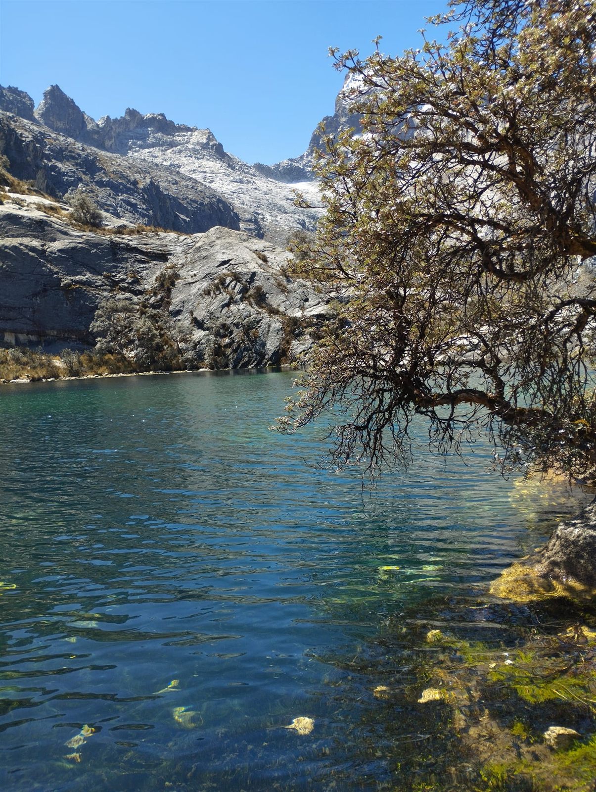 Sendero hacia la Laguna Churup